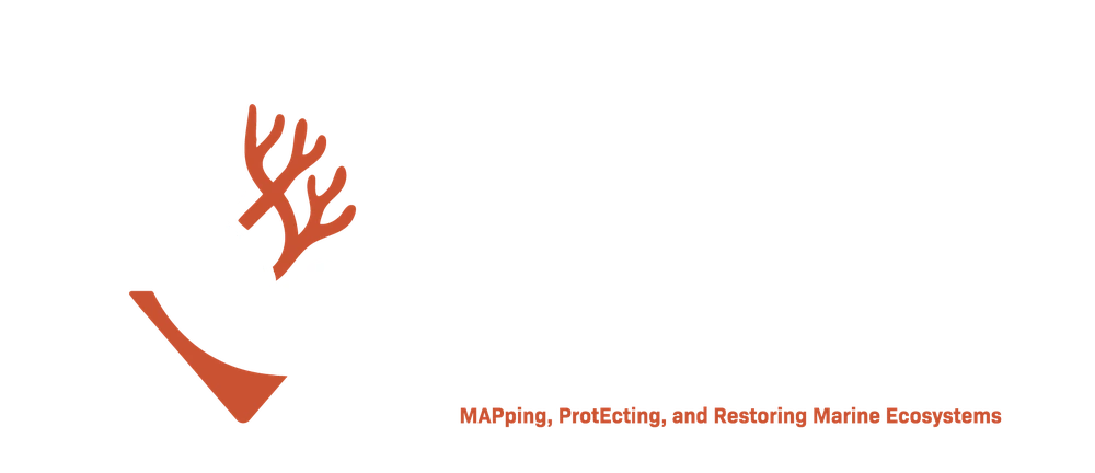 Life Mapper