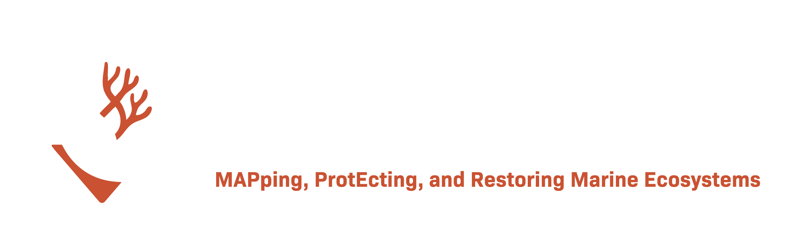 Life Mapper